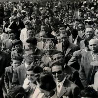 Partecipanti alla manifestazione