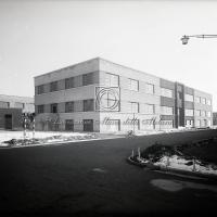 Viale principale dello stabilimento